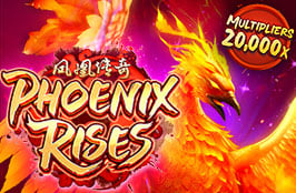 phoenixrises